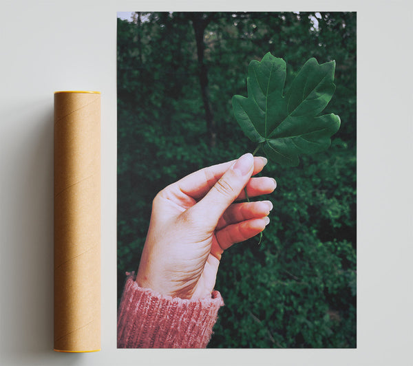 Emerald Green Leaf Poster