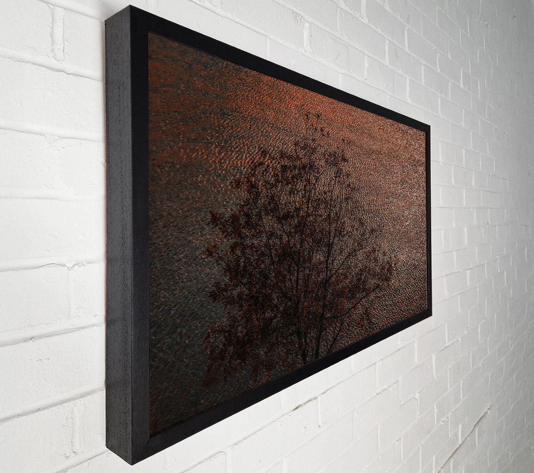  A Canvas Print of Copper Water Reflections Canvas Print