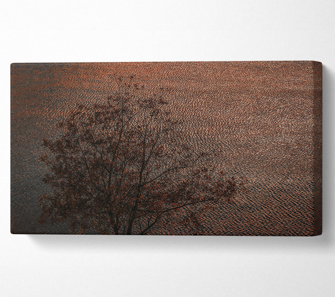  A Canvas Print of Copper Water Reflections Canvas Print