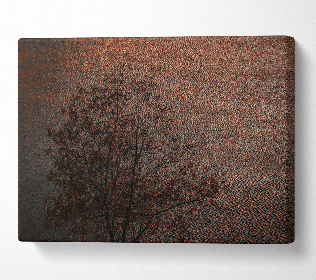  A Canvas Print of Copper Water Reflections Canvas Print