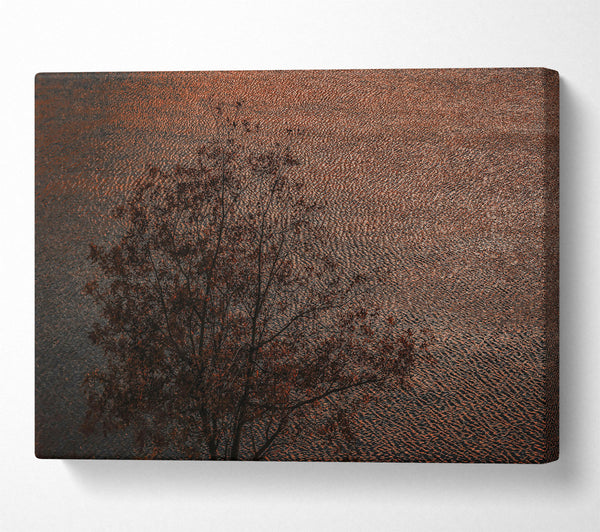  A Canvas Print of Copper Water Reflections Canvas Print