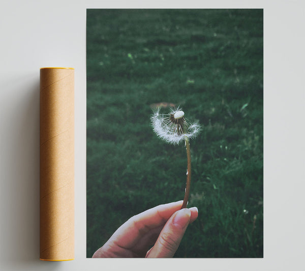 Emerald Wish Print