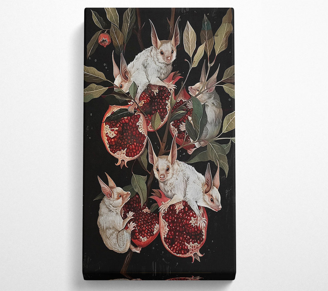  A Canvas Print of Crimson Fruit Bats Canvas Print