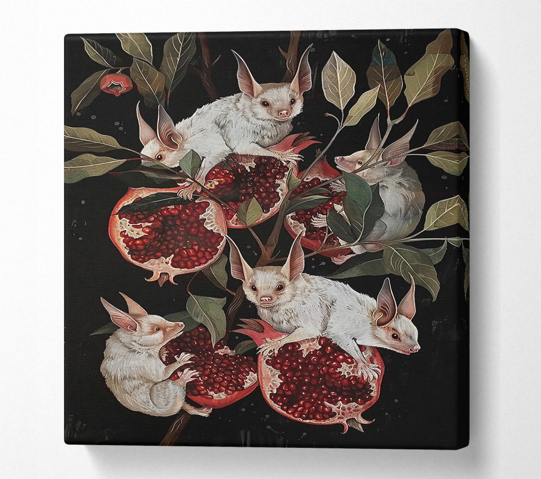  A Canvas Print of Crimson Fruit Bats Canvas Print