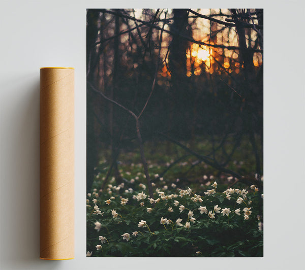 Golden Forest Bloom Print