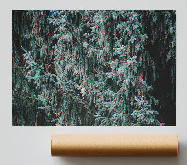 Emerald Evergreen Tapestry Poster