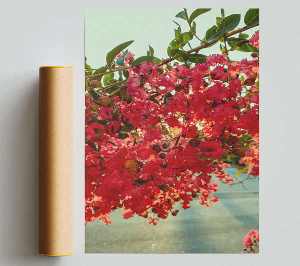 Crimson Bloom Cascade Poster