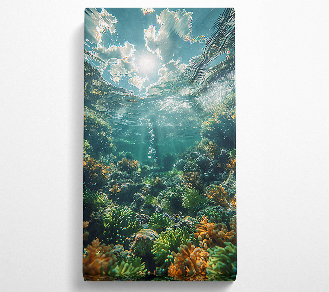  A Canvas Print of Aqua Sun'S Embrace Canvas Print