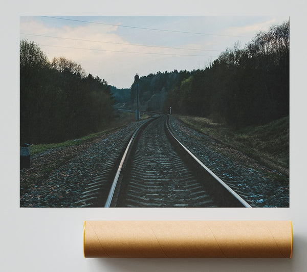 Grey Tracks Through Trees Poster