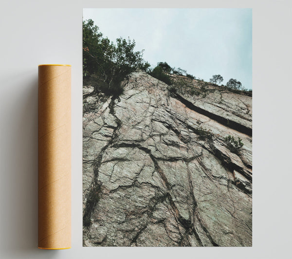 Gray Stone Veins Print