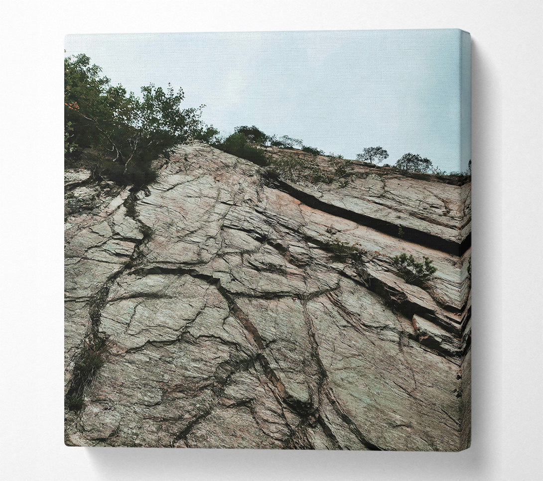  A Canvas Print of Gray Stone Veins Canvas Print