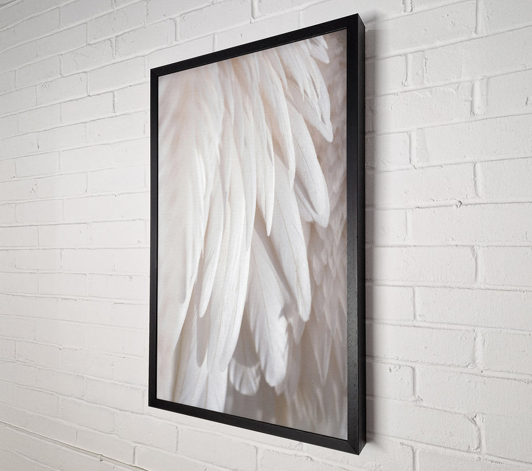  A Canvas Print of Feathers Close Up Canvas Print