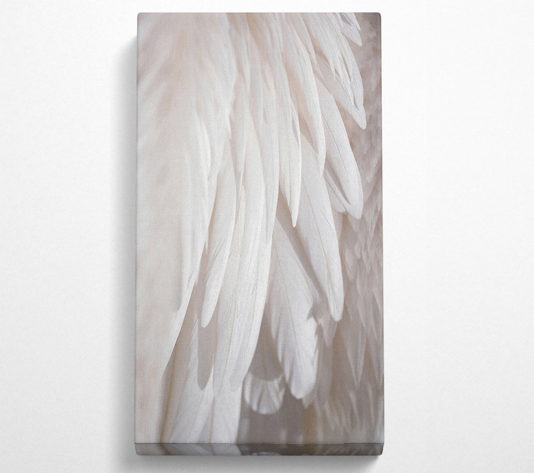  A Canvas Print of Feathers Close Up Canvas Print