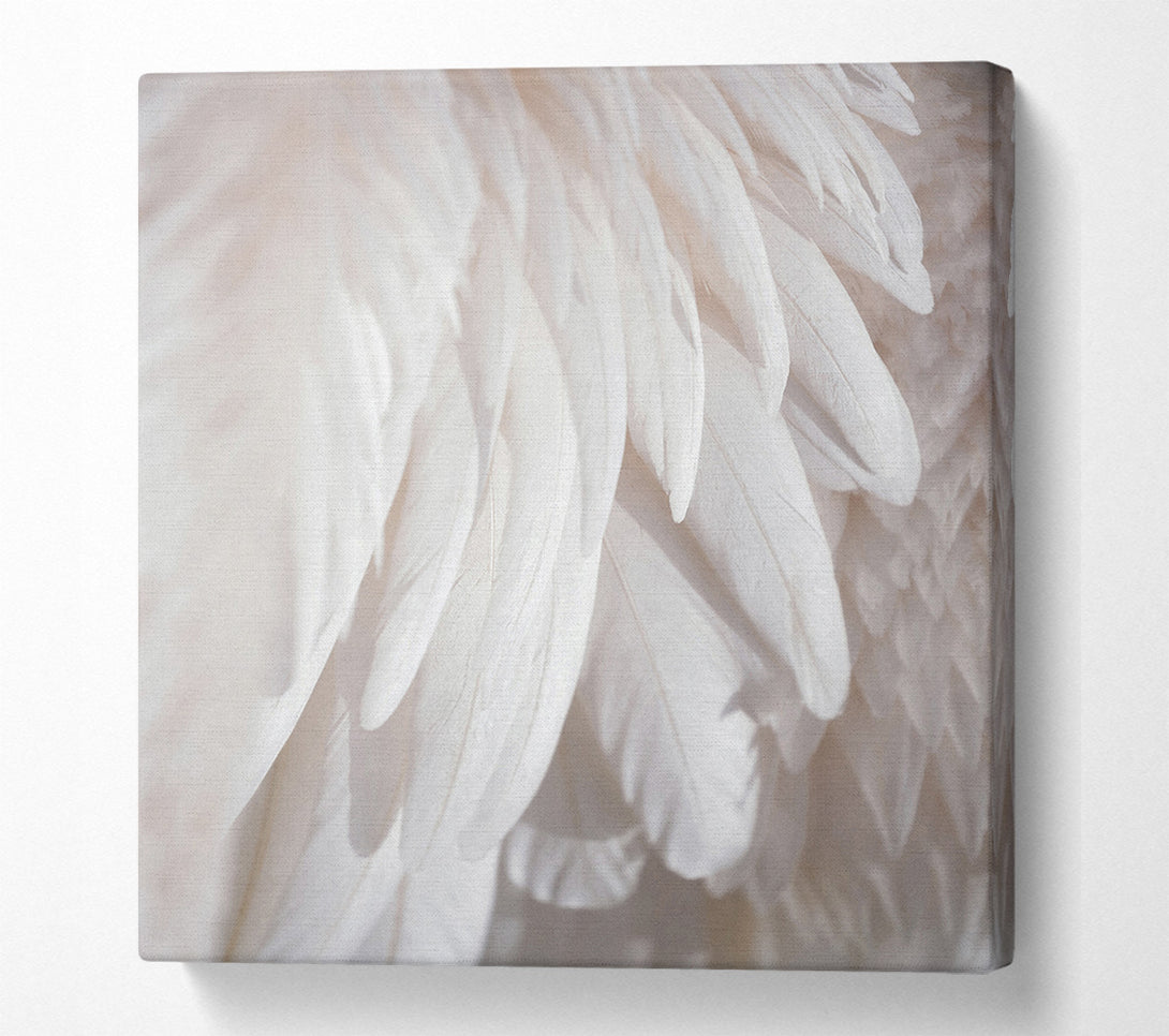  A Canvas Print of Feathers Close Up Canvas Print