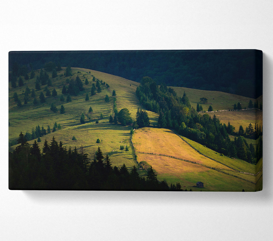  A Canvas Print of Golden Green Hillsides Canvas Art
