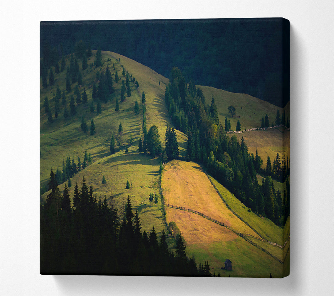  A Canvas Print of Golden Green Hillsides Canvas Art