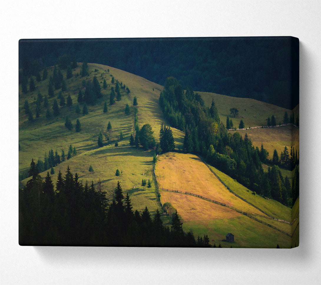  A Canvas Print of Golden Green Hillsides Canvas Art
