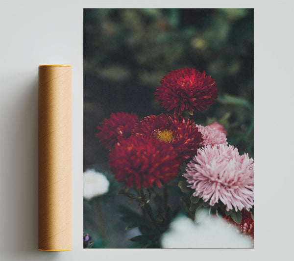 Crimson Bloom Bouquet Print