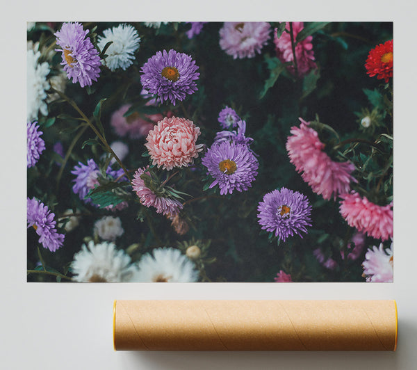 Purple Garden Blooms Giclee Print