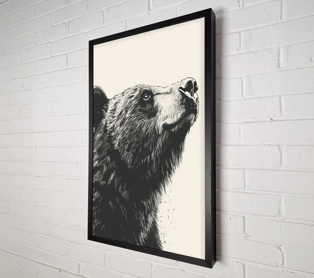  A Canvas Print of Black Bear'S Gaze Canvas Art