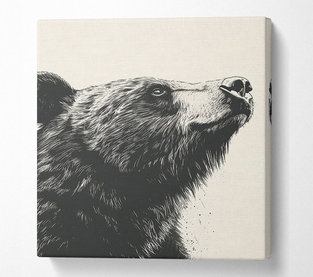  A Canvas Print of Black Bear'S Gaze Canvas Art