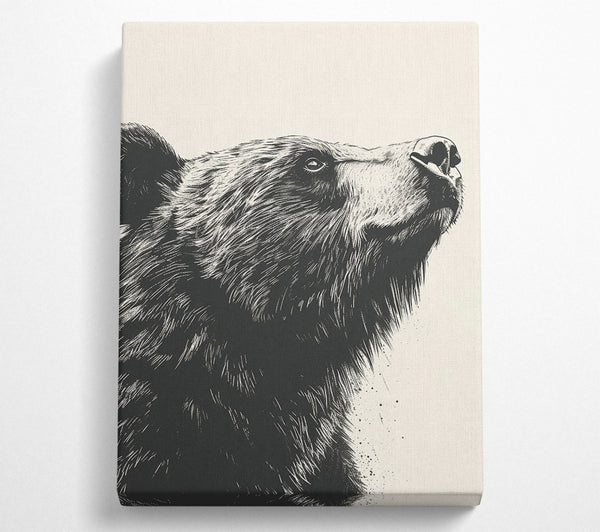  A Canvas Print of Black Bear'S Gaze Canvas Art