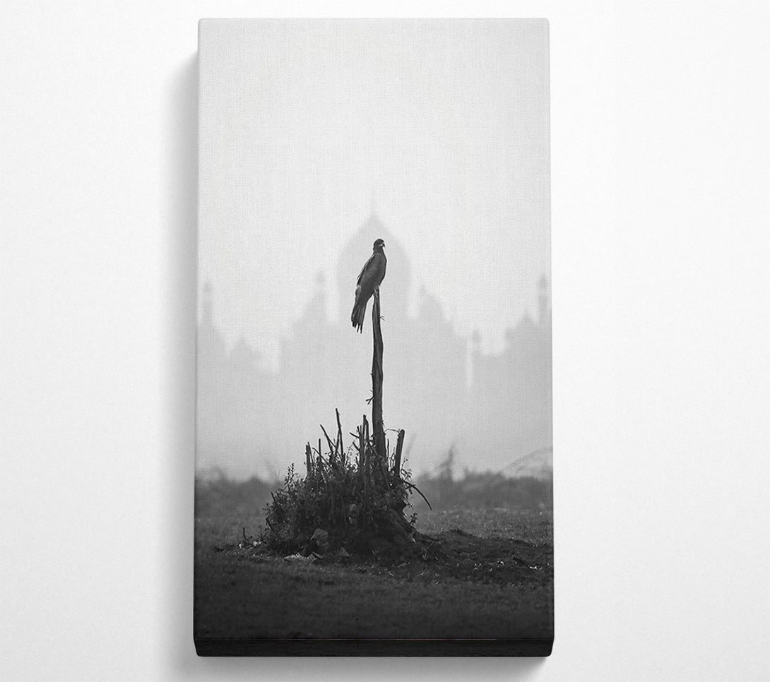  A Canvas Print of Blackbird On A Branch Canvas Wall Art