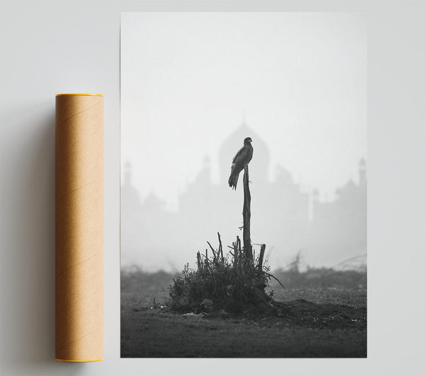Blackbird On A Branch Poster