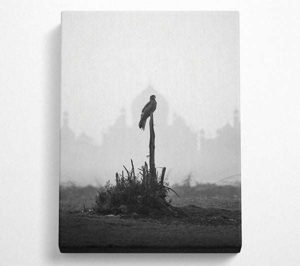  A Canvas Print of Blackbird On A Branch Canvas Wall Art