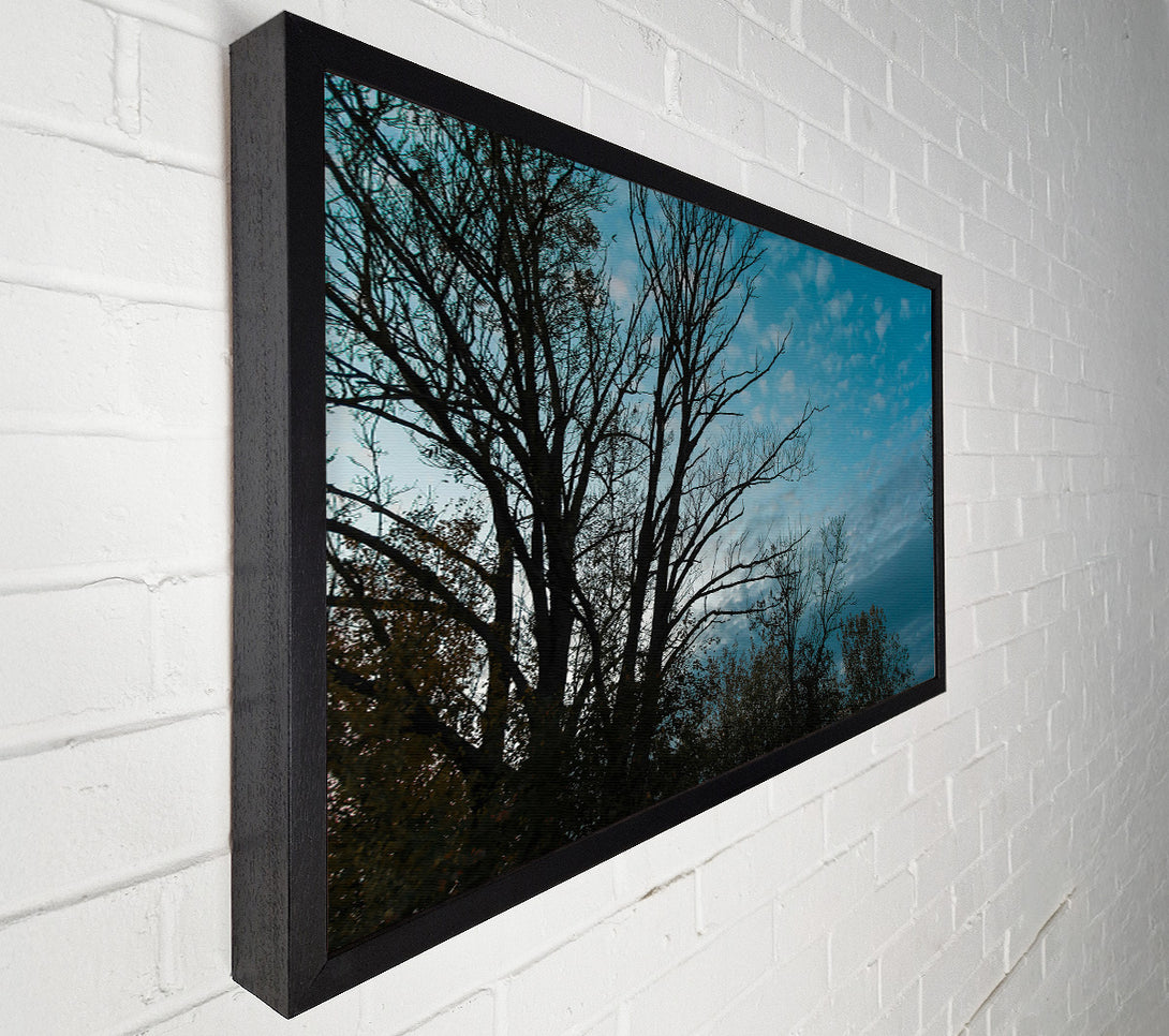  A Canvas Print of Azure Silhouettes Canvas Print