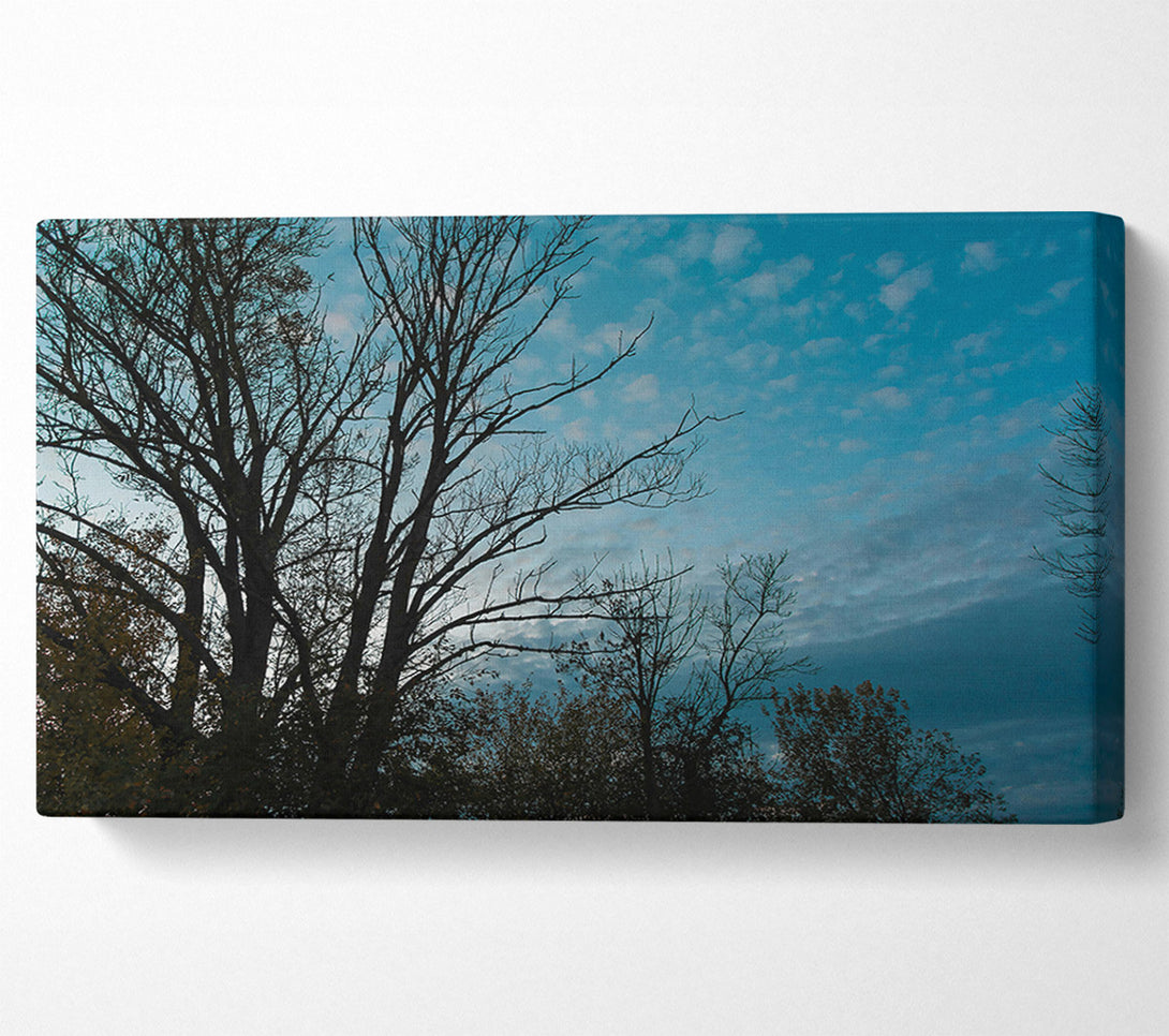  A Canvas Print of Azure Silhouettes Canvas Print