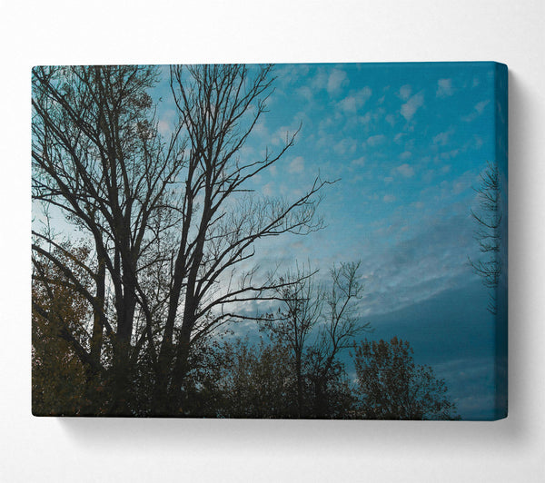  A Canvas Print of Azure Silhouettes Canvas Print