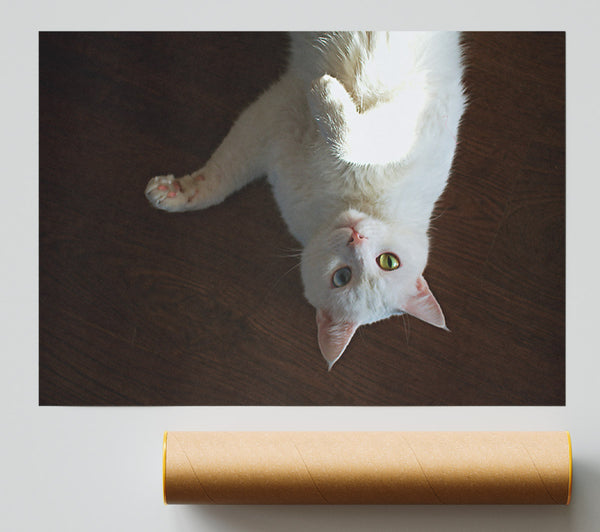 White Kitty Upside Down Poster