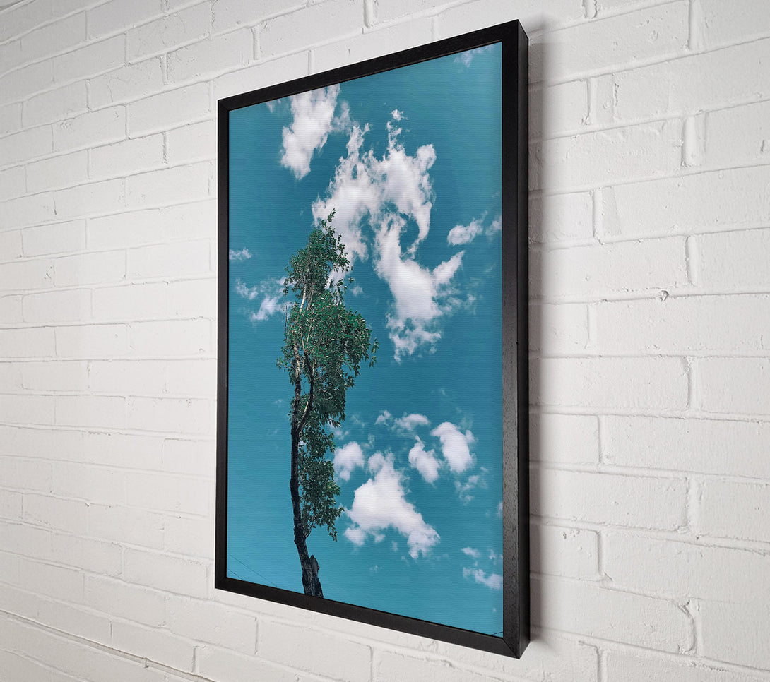  A Canvas Print of Azure Sky Reflection Canvas Print