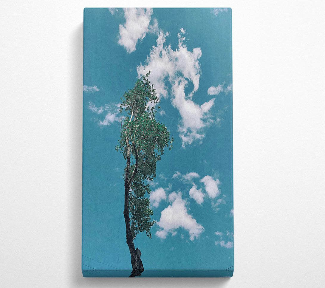  A Canvas Print of Azure Sky Reflection Canvas Print