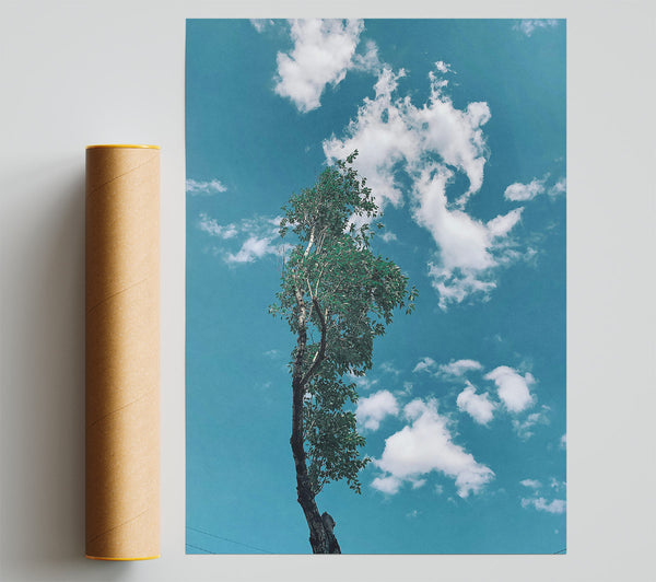 Azure Sky Reflection Poster