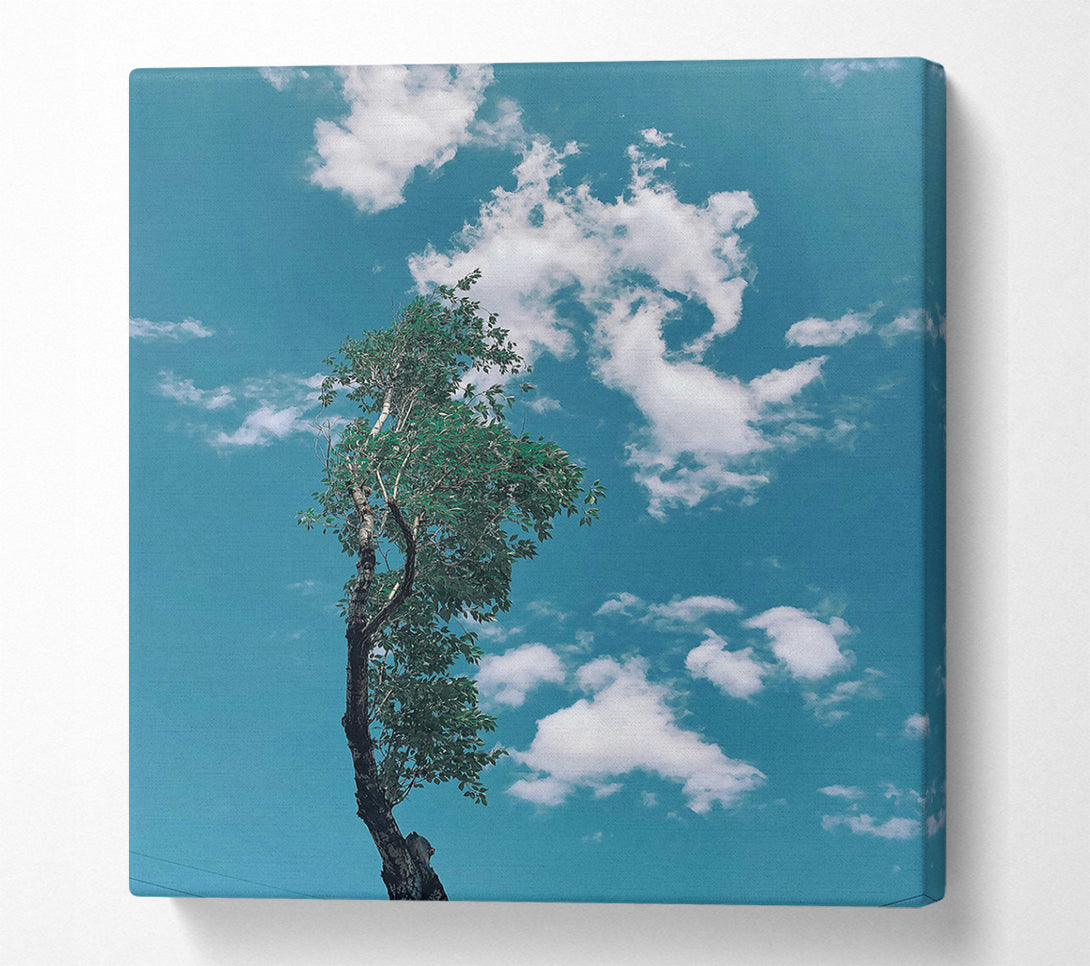  A Canvas Print of Azure Sky Reflection Canvas Print