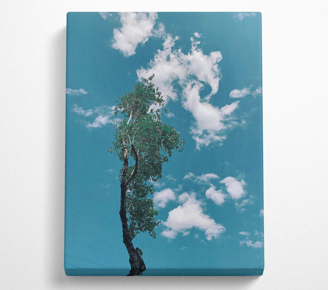  A Canvas Print of Azure Sky Reflection Canvas Print