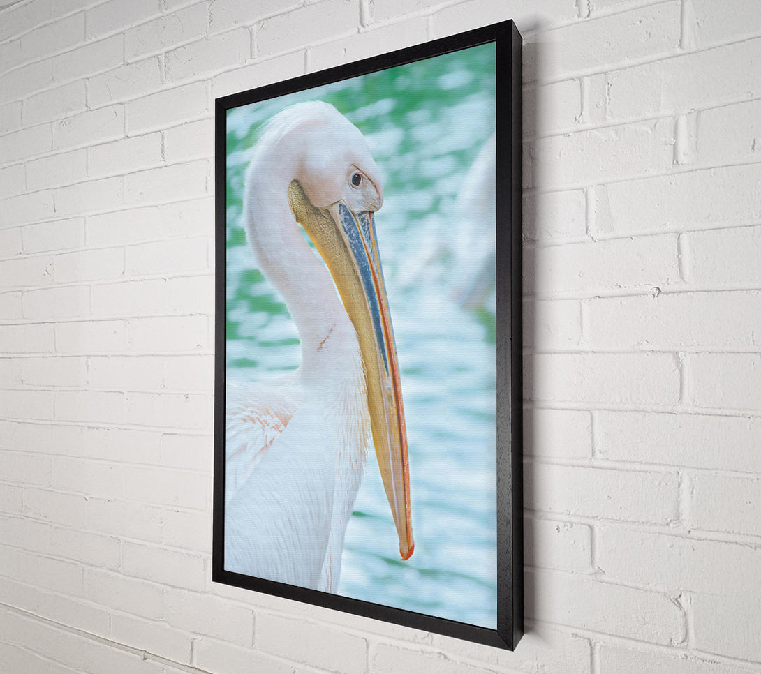  A Canvas Print of White Pelican'S Rest Canvas Art