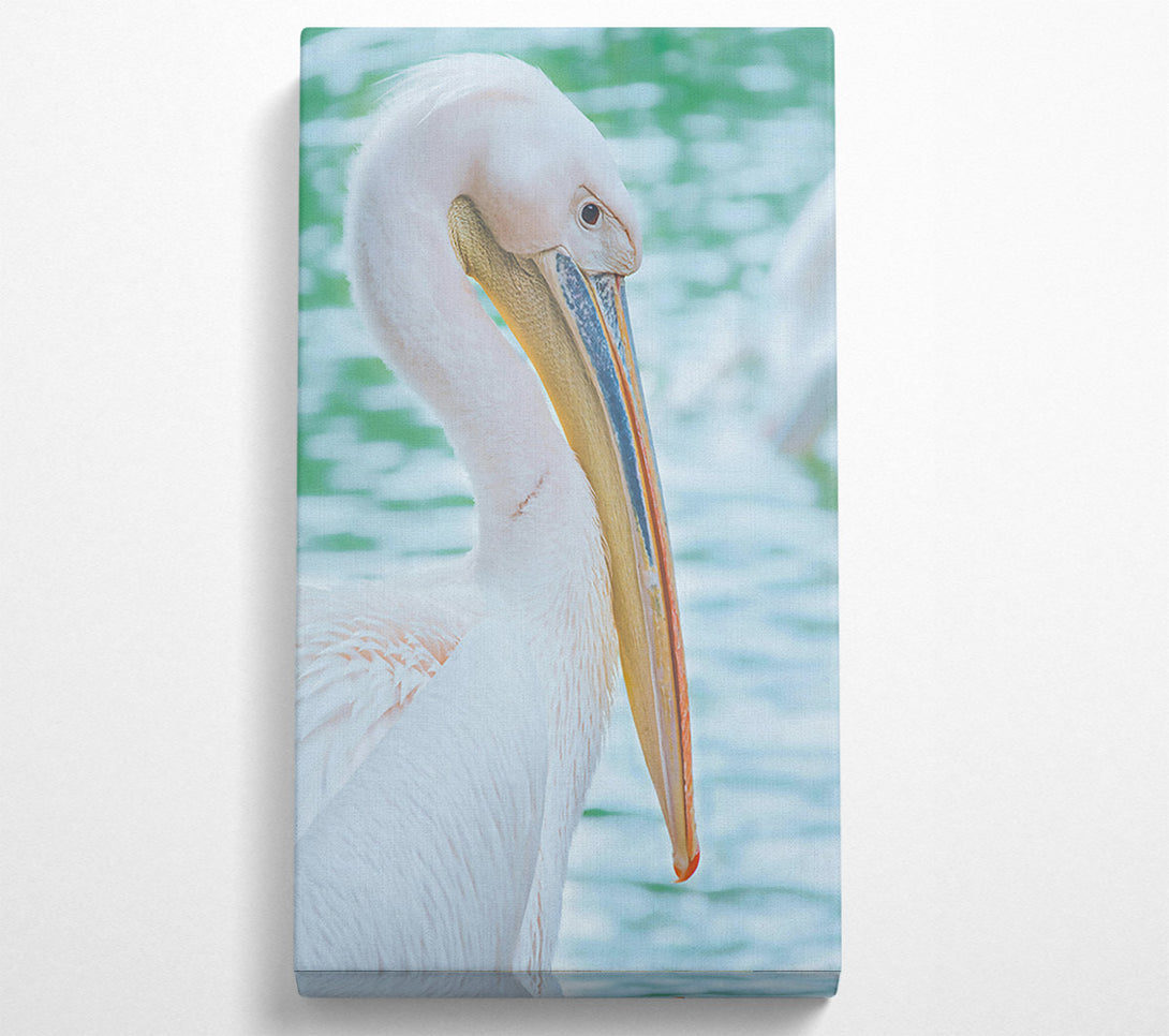 A Canvas Print of White Pelican'S Rest Canvas Art