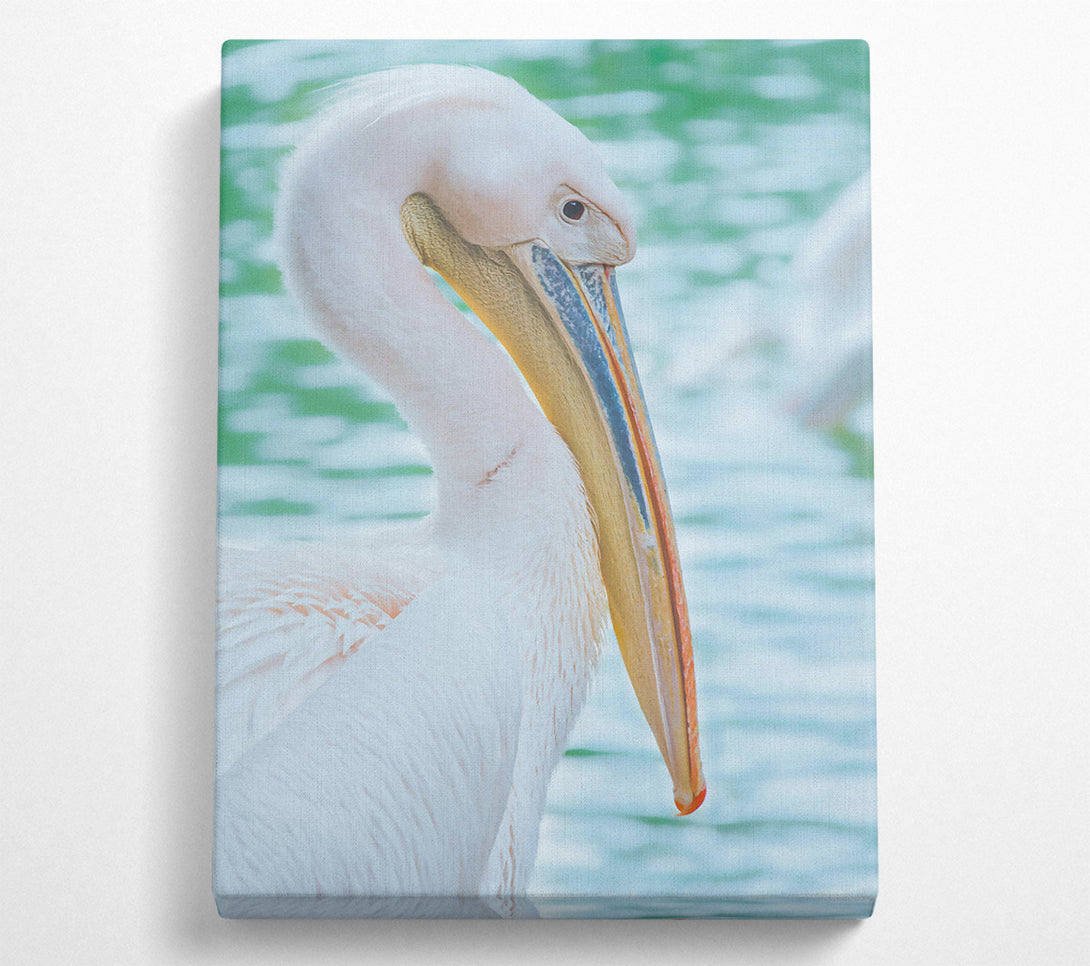  A Canvas Print of White Pelican'S Rest Canvas Art