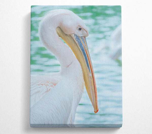  A Canvas Print of White Pelican'S Rest Canvas Art