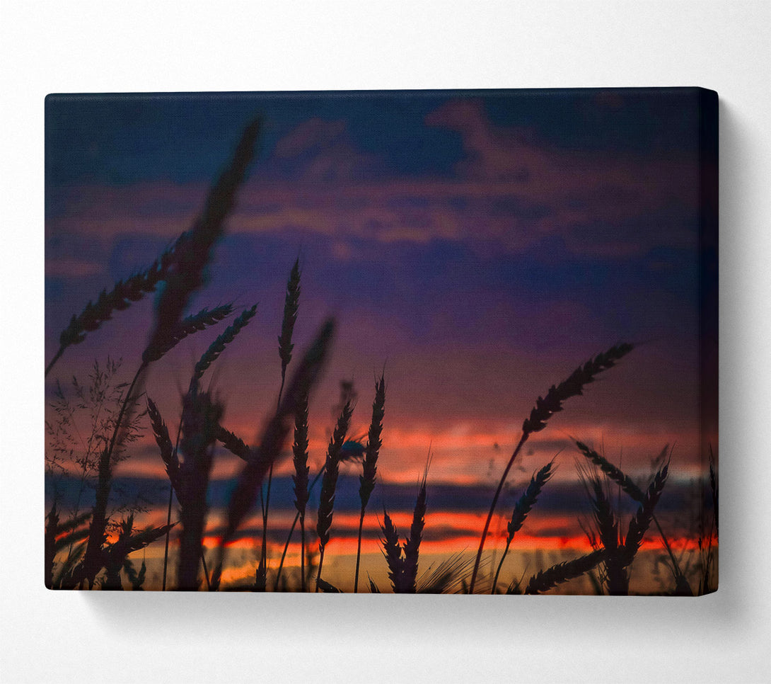  A Canvas Print of Orange Sunset Silhouettes Canvas Print