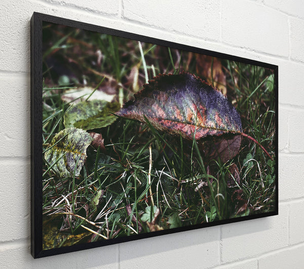 Purple Autumn Leaf