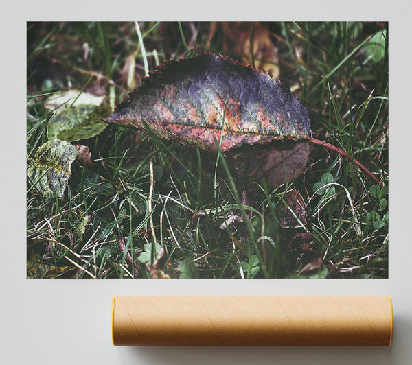 Purple Autumn Leaf Giclee Print