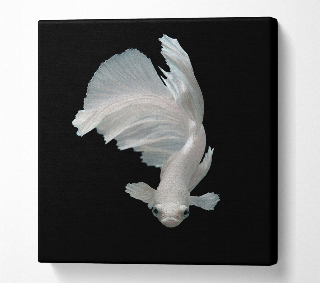  A Canvas Print of Fighter Fish Canvas Wall Art