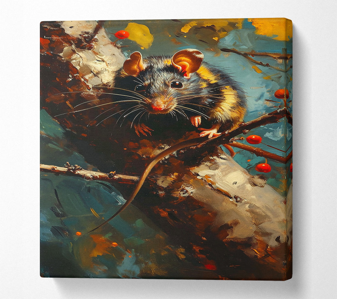  A Canvas Print of Black Rat On Branch Canvas Wall Art