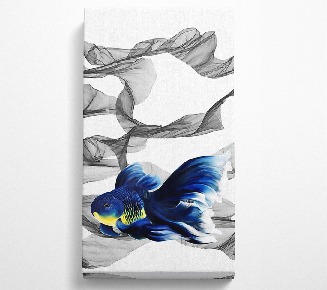 A Canvas Print of Fighting Fish Canvas Print