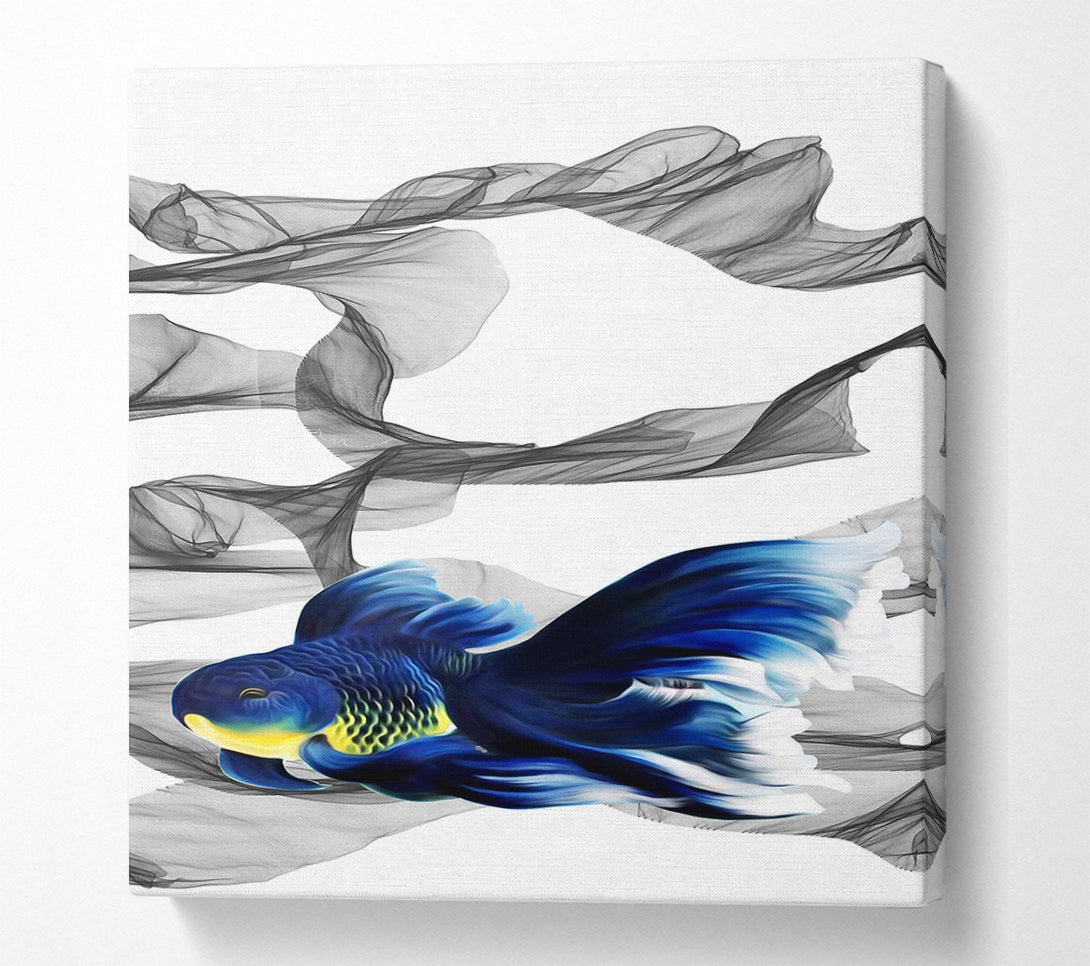  A Canvas Print of Fighting Fish Canvas Print