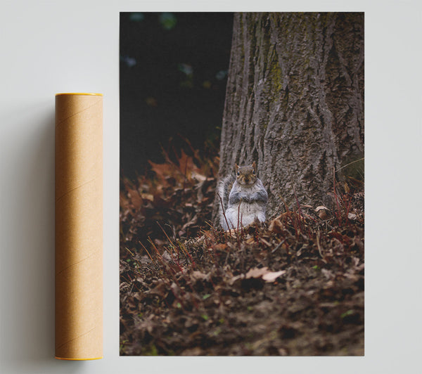 Brown Squirrel Watching Giclee Print